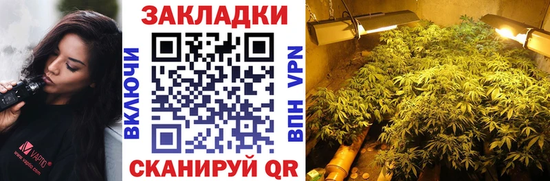 Виды наркоты Старица Канабис  Гашиш 