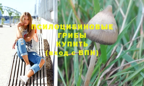 ГАЛЛЮЦИНОГЕННЫЕ ГРИБЫ Пересвет