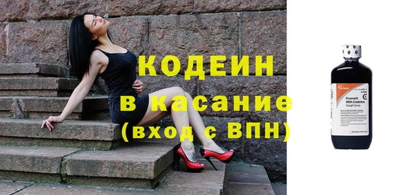 ГАЛЛЮЦИНОГЕННЫЕ ГРИБЫ Пересвет