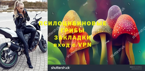 ГАЛЛЮЦИНОГЕННЫЕ ГРИБЫ Пересвет