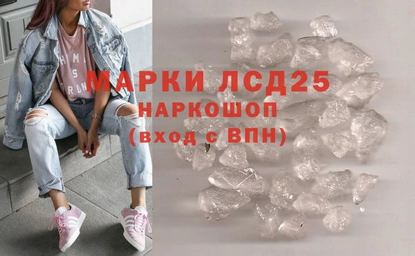 ГАЛЛЮЦИНОГЕННЫЕ ГРИБЫ Пересвет
