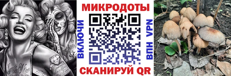 Псилоцибиновые грибы прущие грибы  mega ONION  Старица 